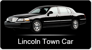 fleet of new suv Lincoln town cars suburban 